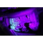 Jaxman U1C lanterna ultraviolet UV de 6W