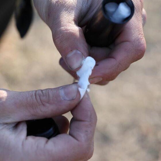 Coghlans 2226 kit pentru aprins focul tip capsula